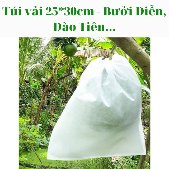 combo 10 Túi Bao Trái Cây 25*30cm, Túi Bọc Trái Na, Ổi, Mãng Cầu, Xoài... vải không dệt dập nhiệt chắc chắn, bền, dai