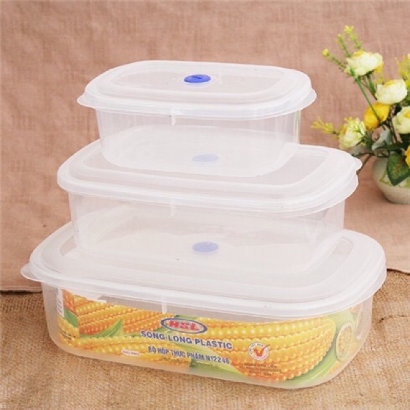Bộ 3 Hộp Đựng Thực Phẩm Cỡ Lớn Song Long 2246