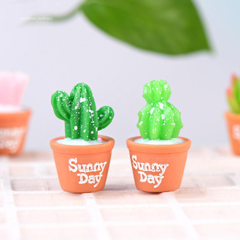 Set 2 mô hình cây xương rồng dùng trang trí sân vườn