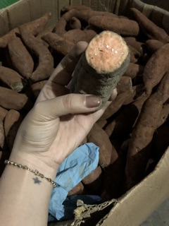 Khoai lang mật Tà Nung