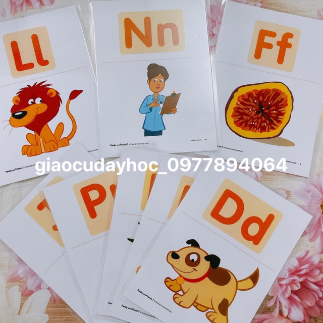 THẺ  PHONICS - FAMILY AND FRIENDS 1