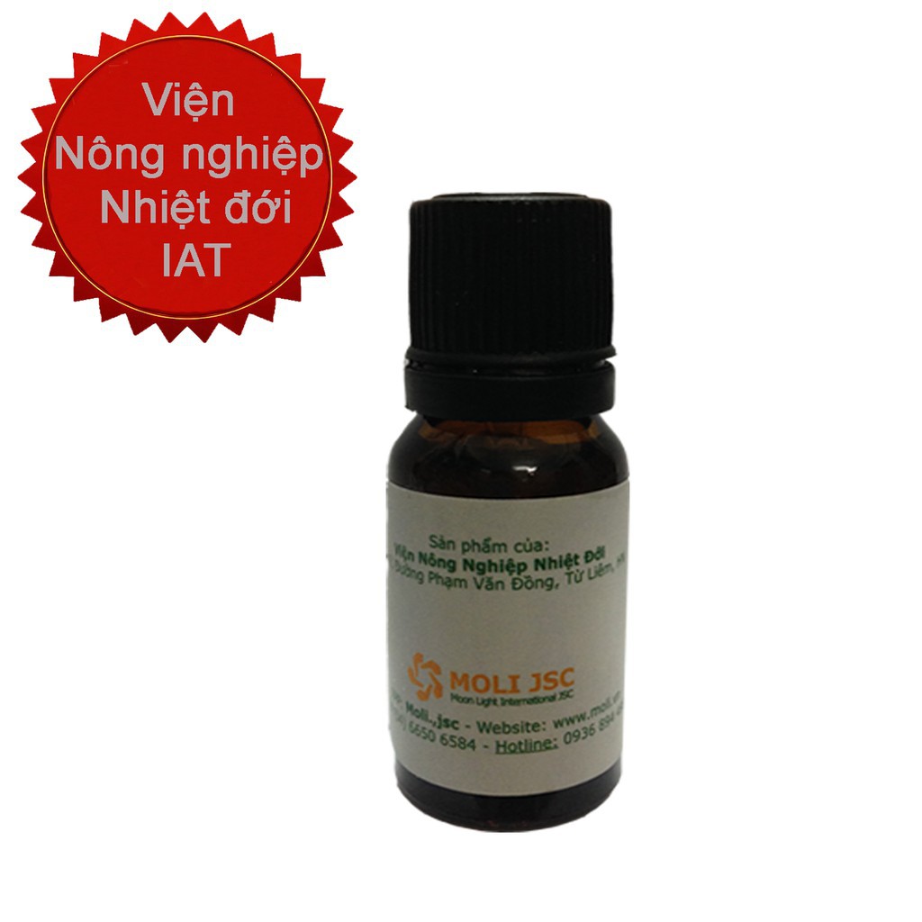 Tinh dầu hương nhu 10ml (Viện nông nghiệp nhiệt đới IAT)( giá siêu rẻ )