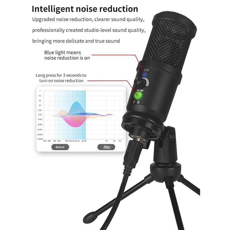 Professional BM-66 Karaoke Microphone for Singing Condenser