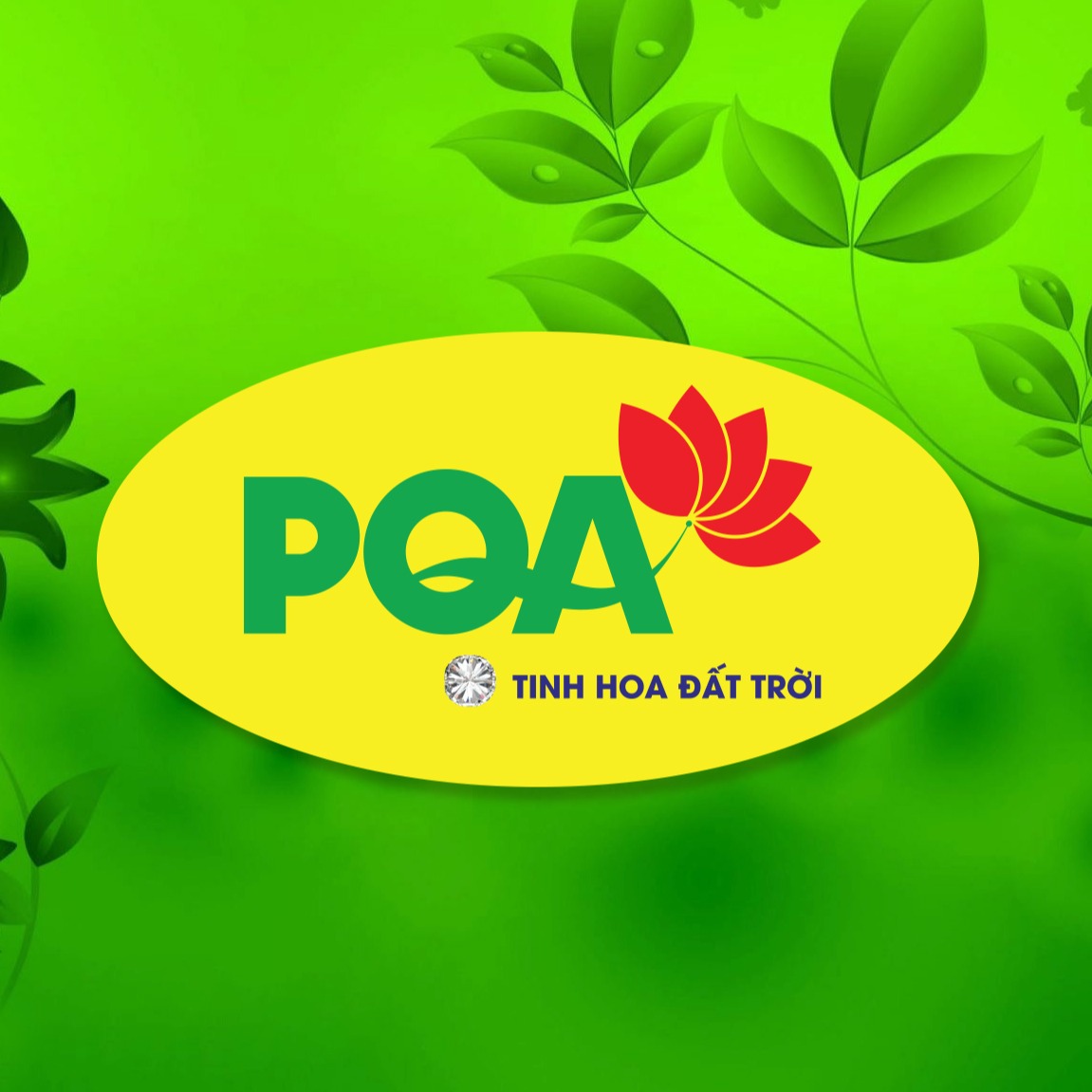 Công ty Dược Phẩm PQA Nam Định