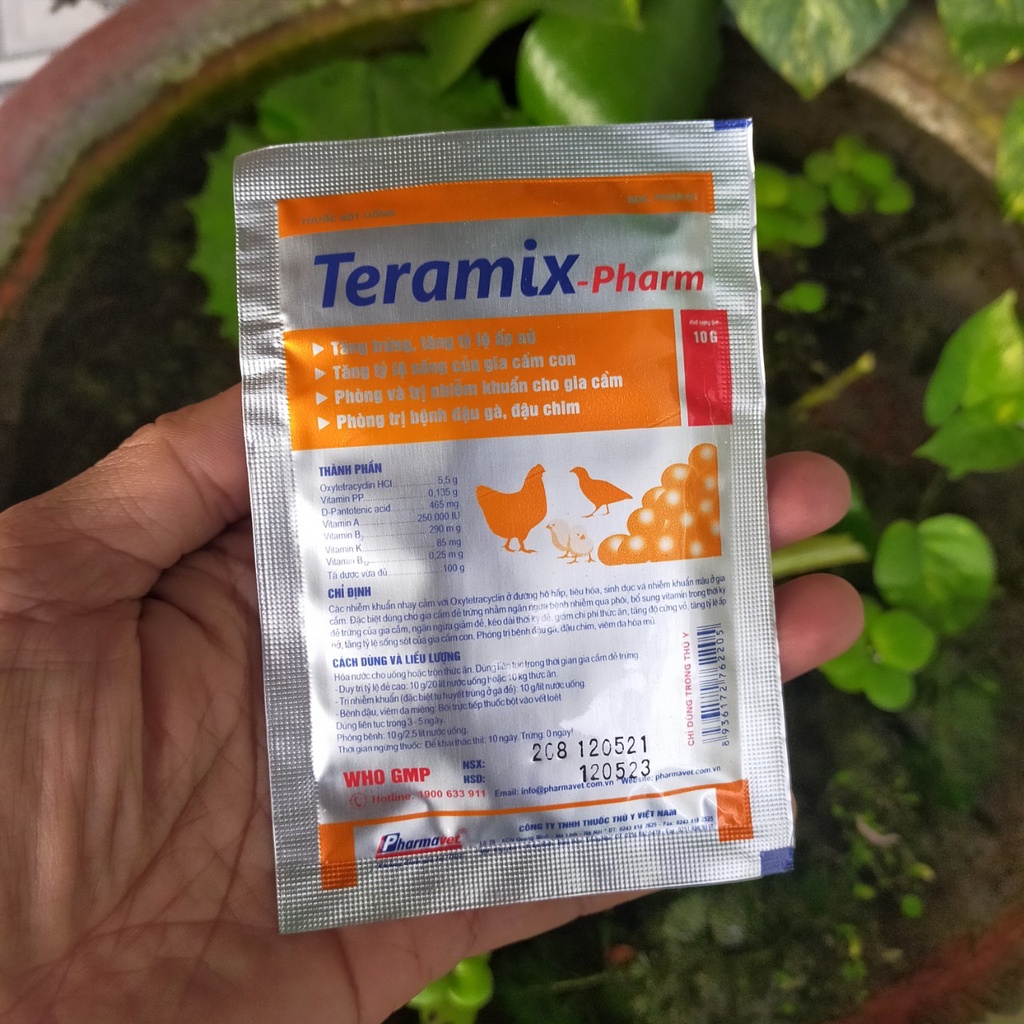 TERAMIX-PHARM: ĐẬU GÀ, ĐẬU CHIM
