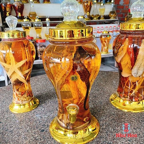 Cá ngựa bình 3 lít