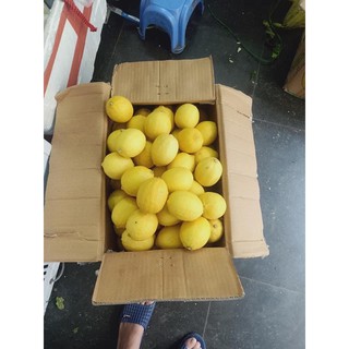 Chanh vàng nhập khẩu Mỹ 500g