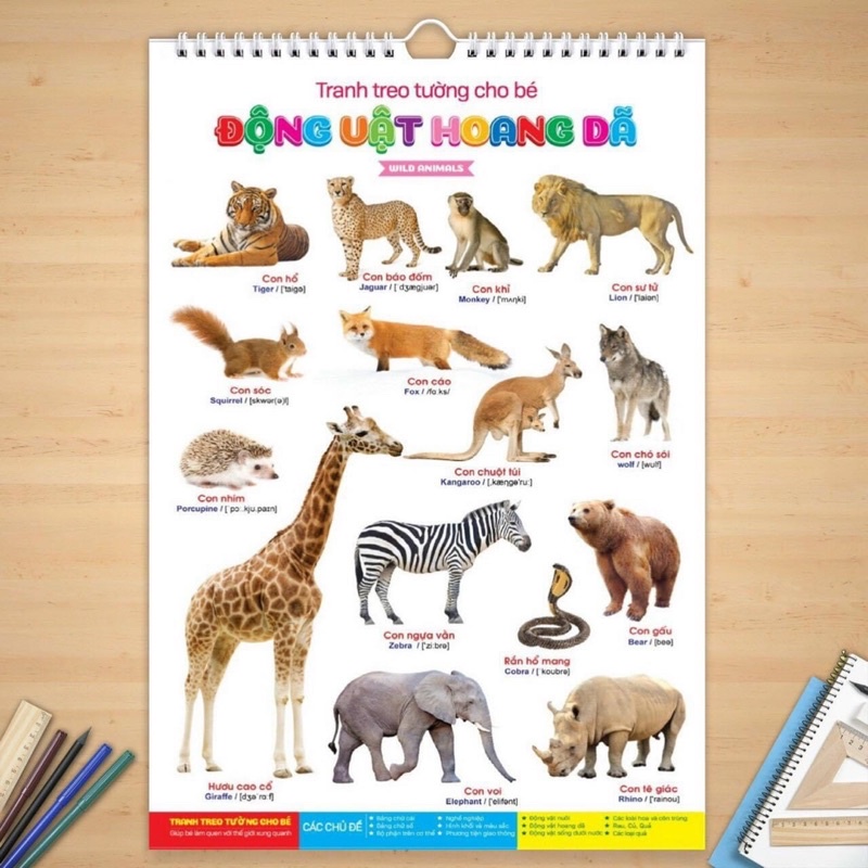 BỘ TRANH TREO TƯỜNG 14 CHỦ ĐỀ CHO BÉ