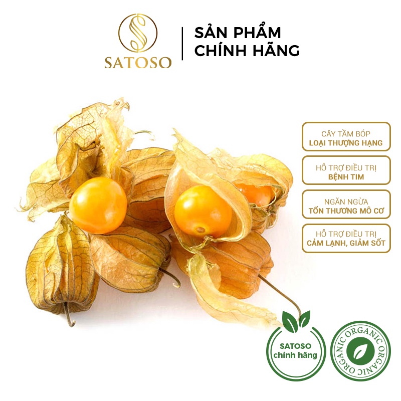 Cây tầm bóp SATOSO 1kg giúp hỗ trợ cho người bị Gout, đái tháo đường vô cùng hiệu quả SA46