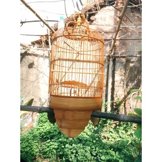 LỒNG KHUYÊN CHÂN CAO NAN KHÍT