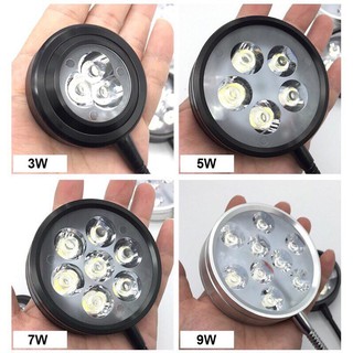 Đèn led đế gỗ cho bể nhỏ xinh