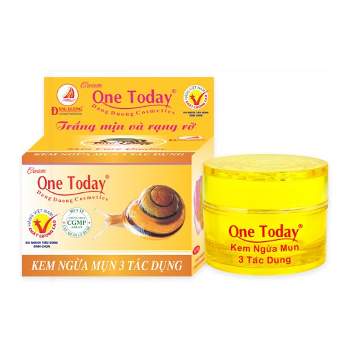 Kem ngừa mụn 3 tác dụng One Today 8g