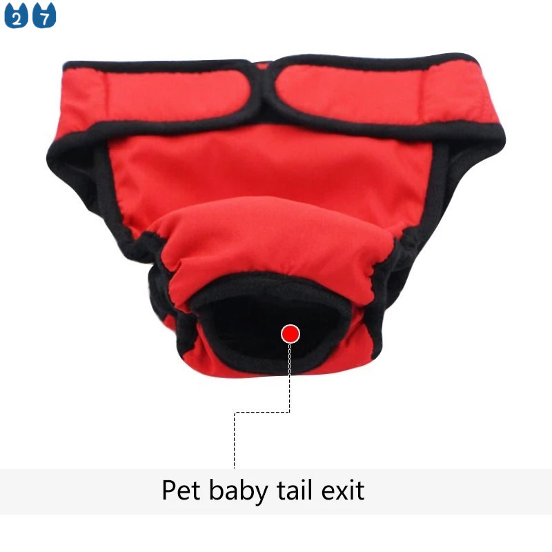 Quần Lót Sinh Lý Size XS-XXL 27 Ngăn