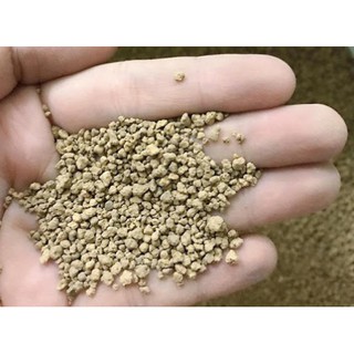 PHÂN NỀN AKADAMA CHO BỂ TÉP CẢNH- Thuỷ Sinh