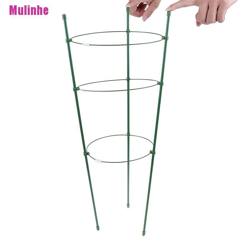 Giá đỡ trồng cây và hoa dây leo kích thước 60cm trong sân vườn