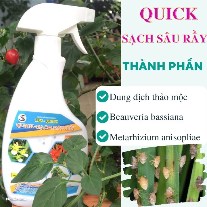 Phòng Ngừa Sâu, Rầy, Rệp Sáp, Bọ Trĩ, Nhện Đỏ - TKS Quick - Sạch Sâu Rầy: