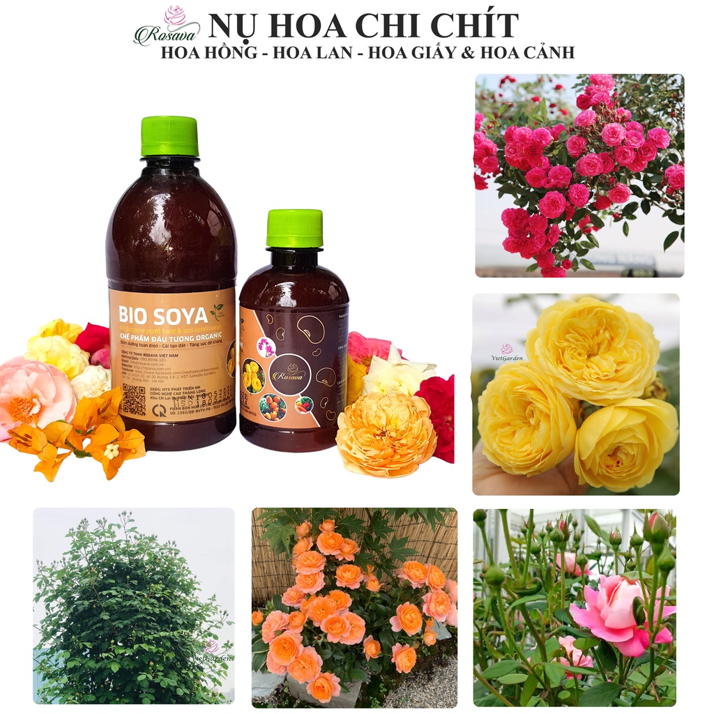 Phân bón đậu tương hữu cơ vi sinh Rosava cho hoa hồng, cây cảnh, hoa giấy, lan, sen đá, phân đậu nành