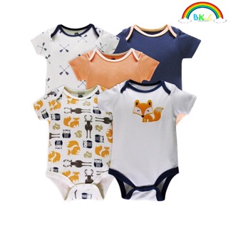 Set 5 body xuất