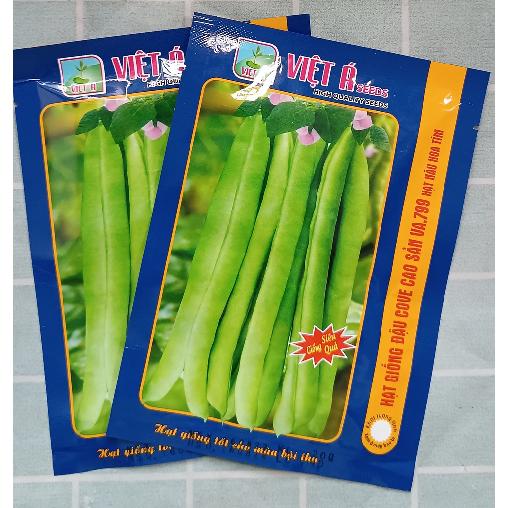 Hạt giống đậu Cove leo Cao Sản 20g