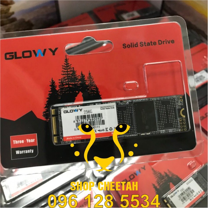 Ổ cứng SSD M2.NGFF Gloway 256GB (SATA III) – CHÍNH HÃNG – Bảo hành 3 năm - SSD M2