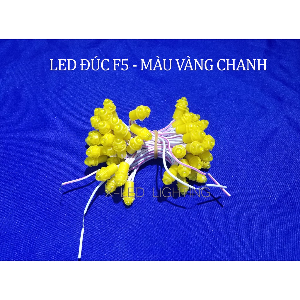 [X-LED] Led đúc F5 - 12V  trang trí ngoài trời IP68