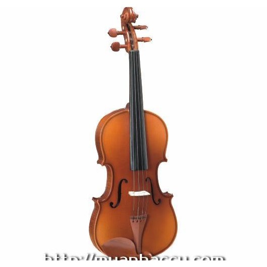 Đàn violin Giordan
