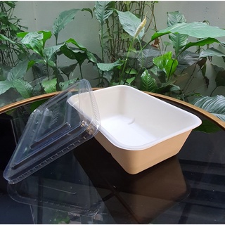  50 Hộp bã mía chữ nhật   750ml  nắp nhựa Pet trong suốt  180*124*56  