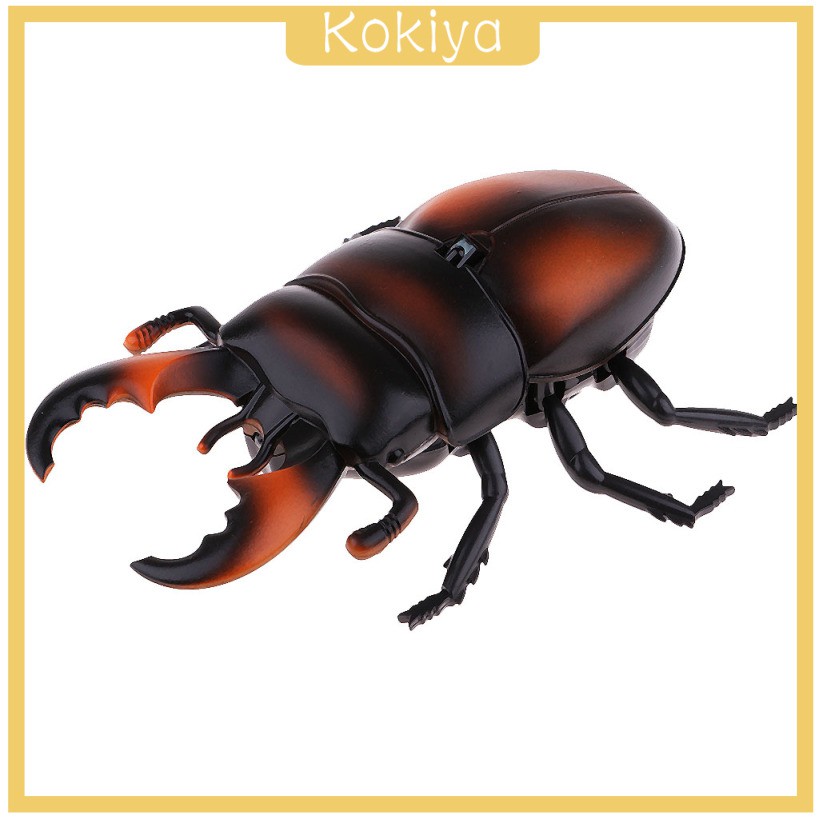 Trang trí tiệc Halloween Đồ chơi bọ cánh cứng RC đáng sợ cho trẻ em Trò vui nhộn