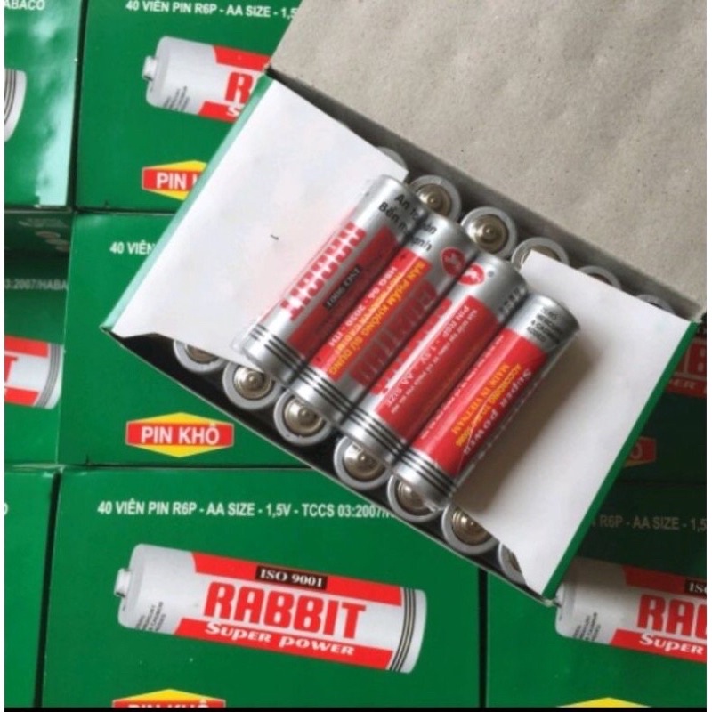 Pin Con thỏ cỡ nhỡ và nhỏ