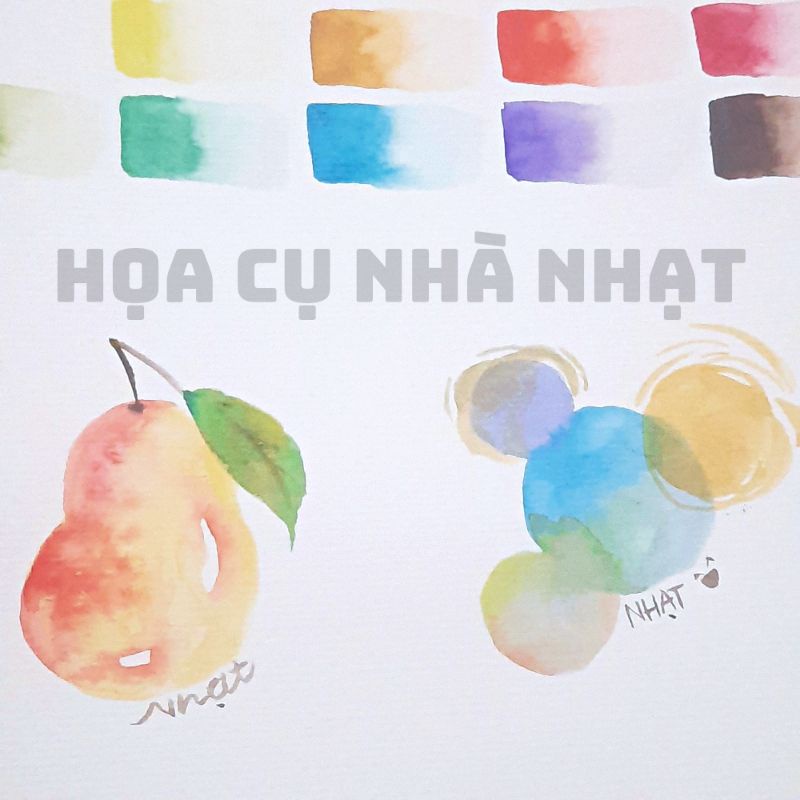 Pocket màu nước GIORGIONE Premium 12/24 màu