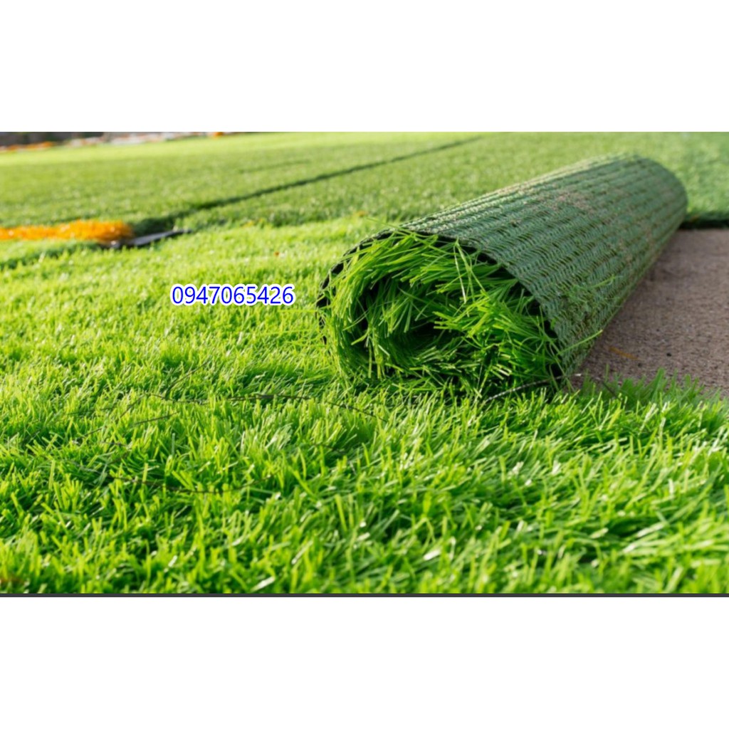 Thảm cỏ nhựa nhân tạo giá rẻ sợi cỏ dài 2cm, có cắt theo yêu cầu