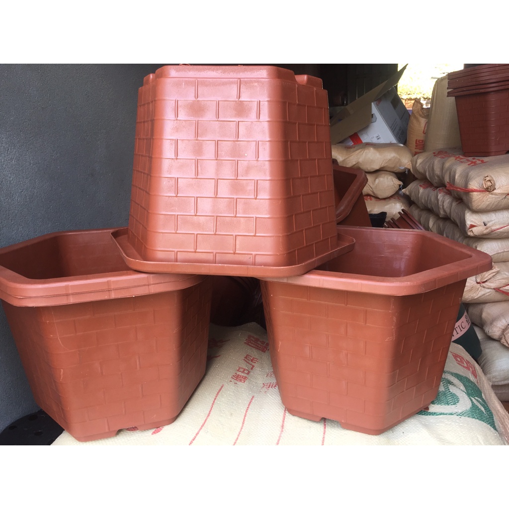 10 CHẬU NHỰA LỤC GIÁC MÃ #460 (DỊCH TRUYỀN CỨU CÂY, KÍCH RỄ MẦM CÂY, BẦU KHAY TÚI ƯƠM..)