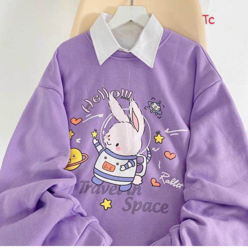 Áo Sweater Nỉ Bông Thỏ Tím Cổ Tròn Quella Strada Ulzzang Unisex Form Rộng | BigBuy360 - bigbuy360.vn