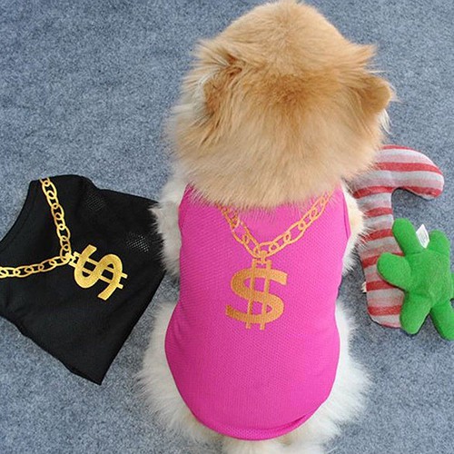 Áo Thun Mùa Hè Mát Mẻ Thời Trang Cho Thú Cưng