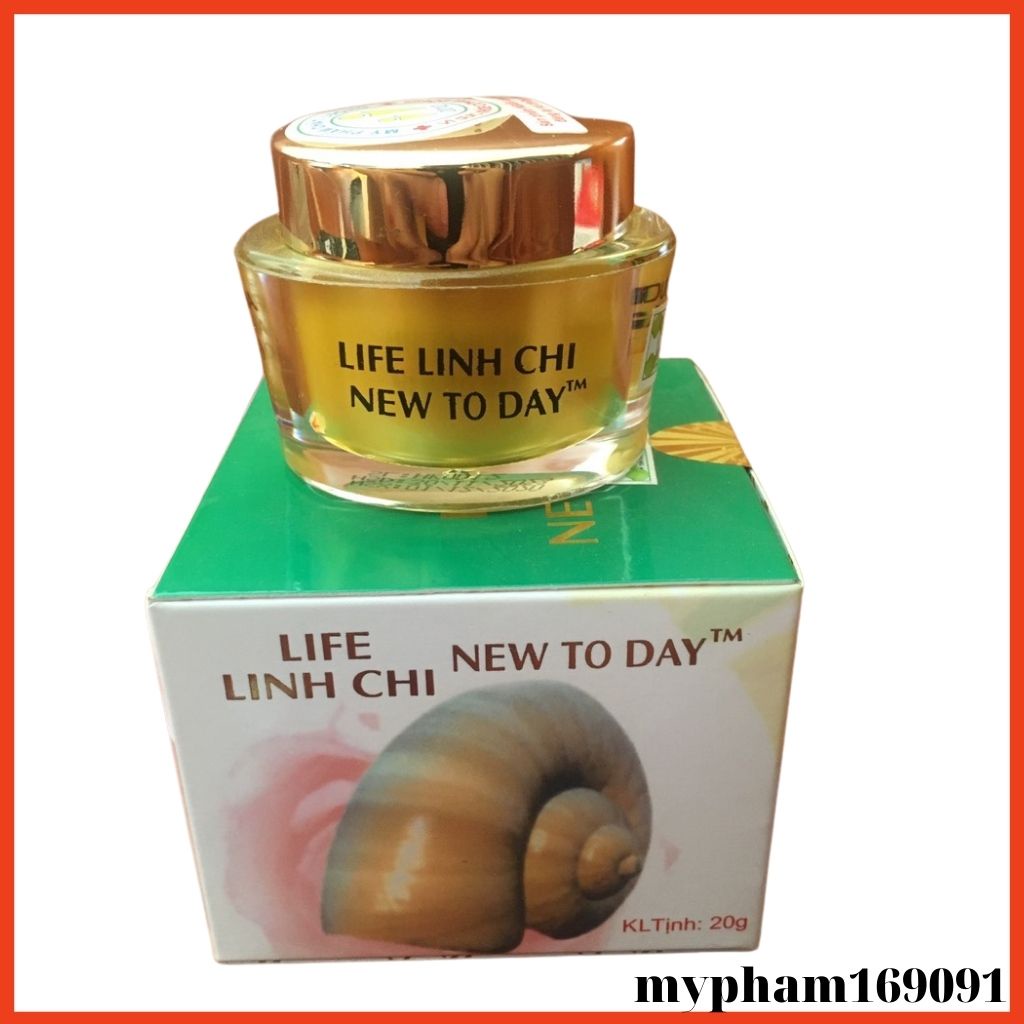 Kem Dưỡng Trắng Da Mặt Ngăn Ngừa Nám Tàn Nhang Đồi Mồi New Today Linh Chi 20g
