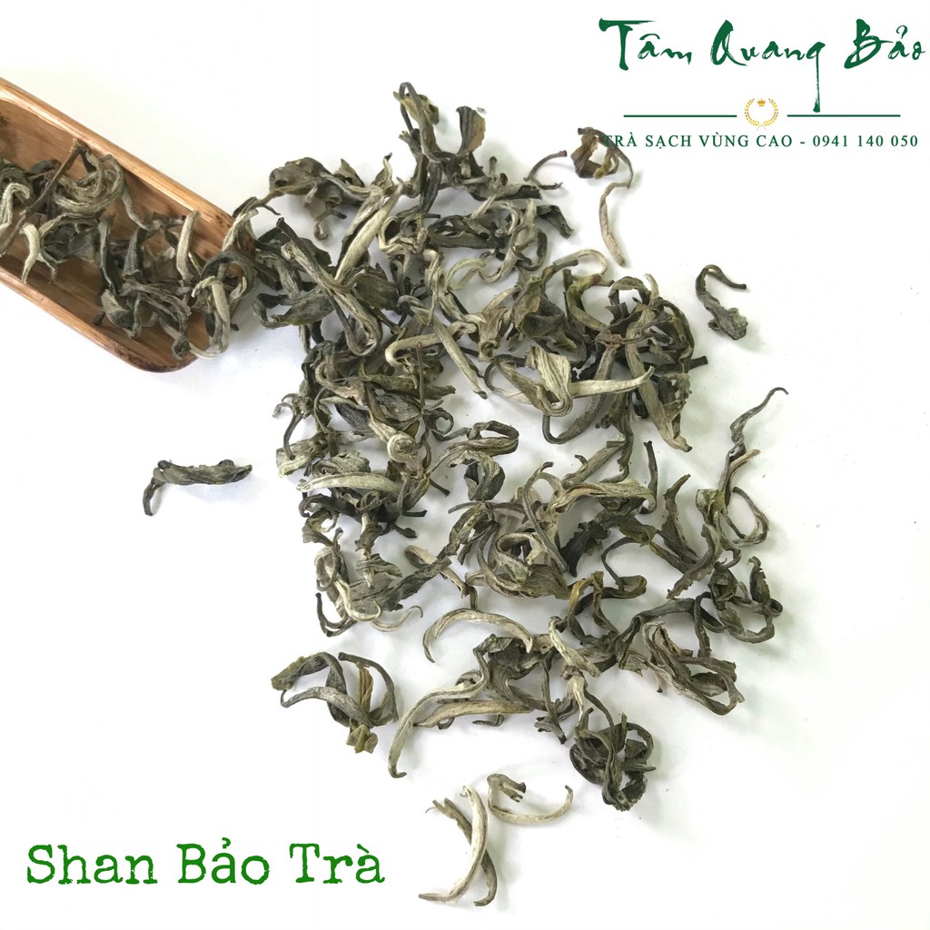 Shan tuyết hảo hạng - Trà cổ thụ Su Phì Hà Giang