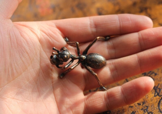 Kiến Vàng ôm nhang trầm cực Vip