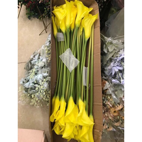 Hoa giả- hoa rum calla lily cao su cao cấp cành dài 70 cm siêu đẹp