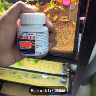 Nuphar BIO PLUS - Bổ sung lượng lớn các lợi khuẩn, enzyme, chiết xuất từ thảo dược.