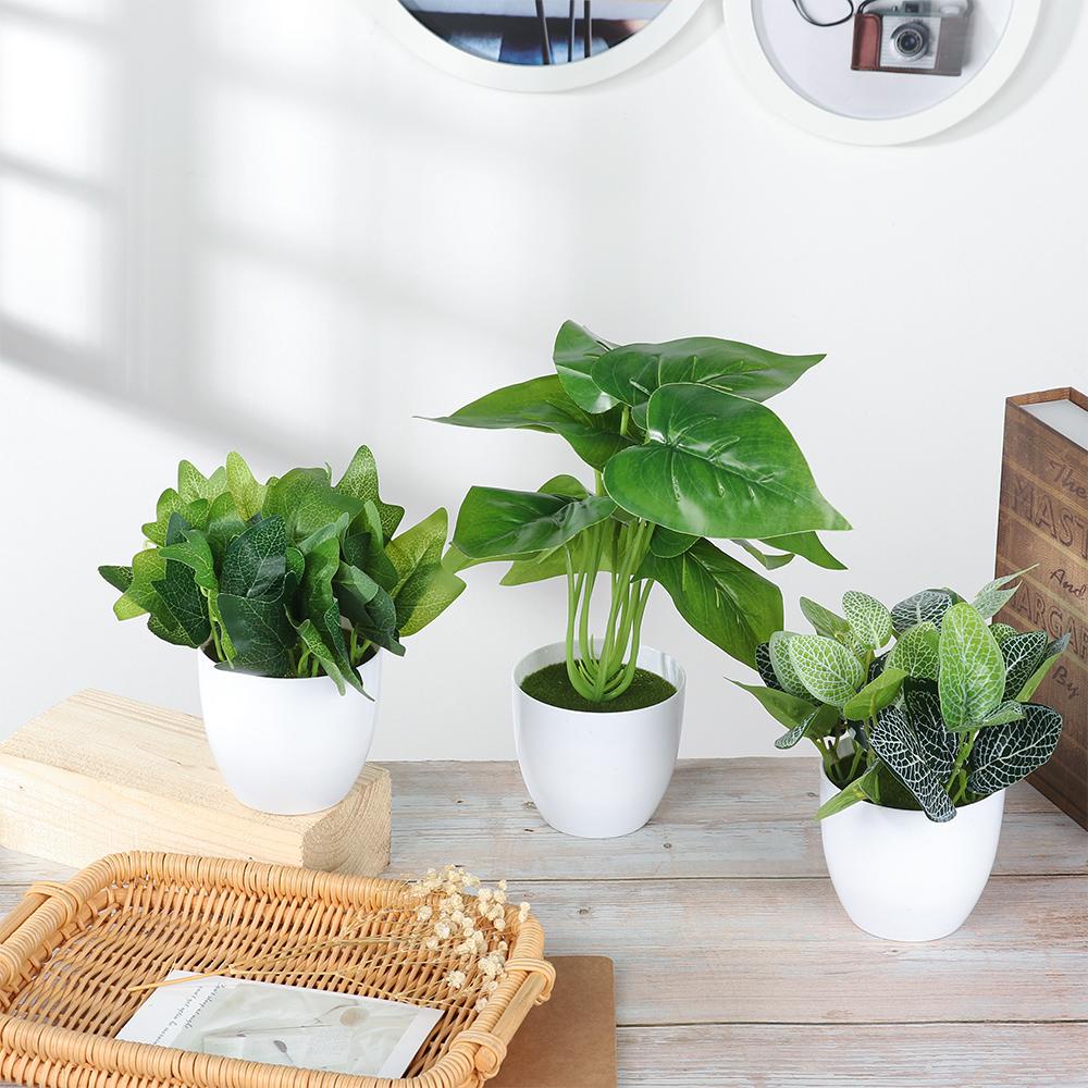 Chậu Cây Cảnh Nhân Tạo Để Bàn Trang Trí Phòng Khách