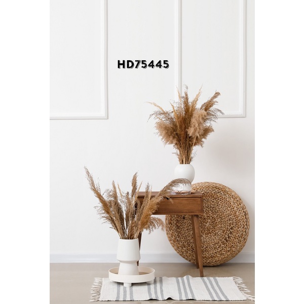 PHÔNG NỀN 3D CHỤP ẢNH