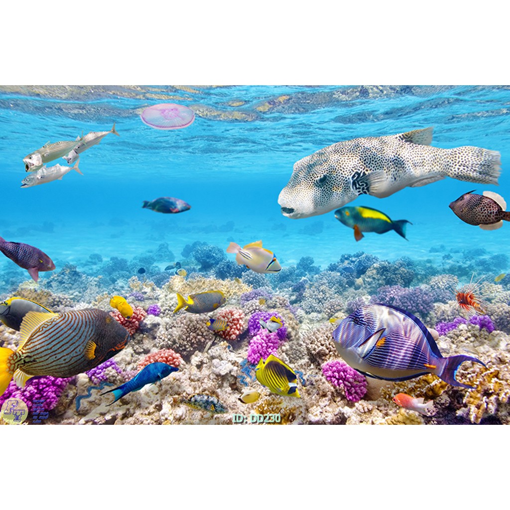 Tranh dán tường Tranh phong cảnh Đại dương biển và đàn cá,Tranh dán tường 3d hiện đại