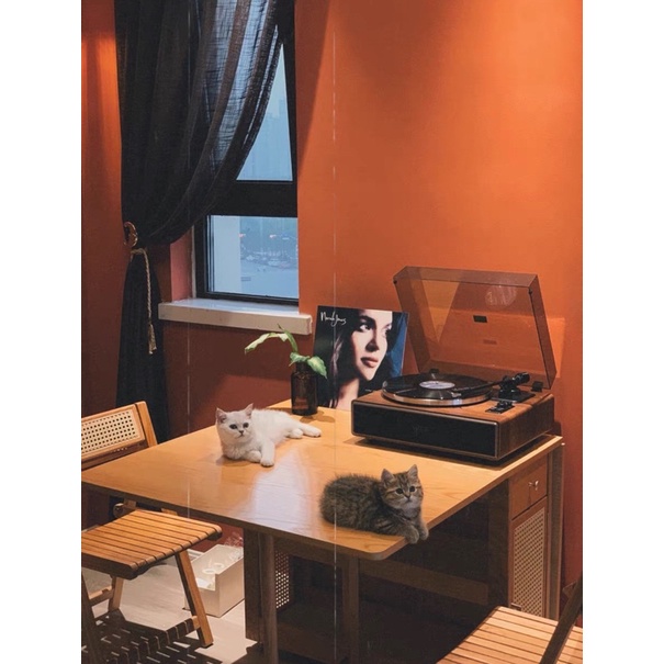 Máy nghe nhạc đĩa than Syitren Paron chính hãng và tặng kèm đĩa than cổ điển khi mua máy