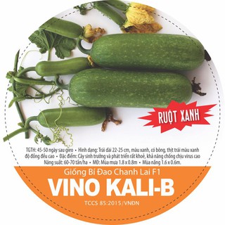 Hạt giống bí đao chanh lai f1 VINO KALI-B, bí đao trái dài ruột xanh