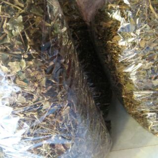 1kg CHÈ VẰNG SẼ GIÀ CHẶT ĐỒI