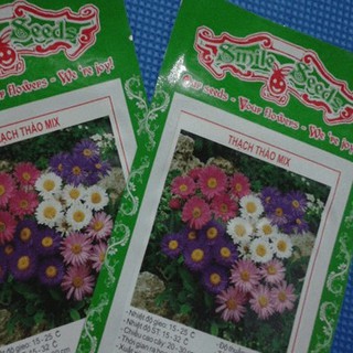 Hạt giống Hoa thạch thảo lùn Mix (50Hạt)
