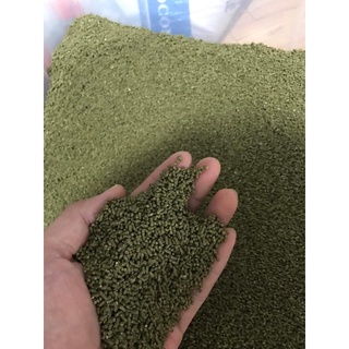 Cám Chào Mào Thanh Beck (Cám Đấu)