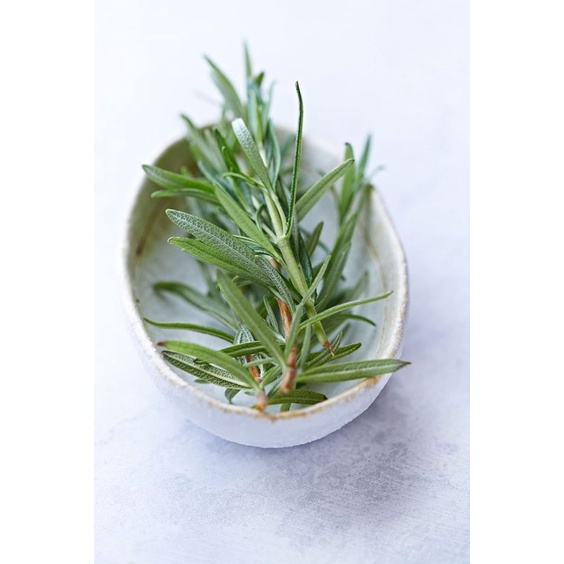 Lá Hương Thảo Rosemary 15g