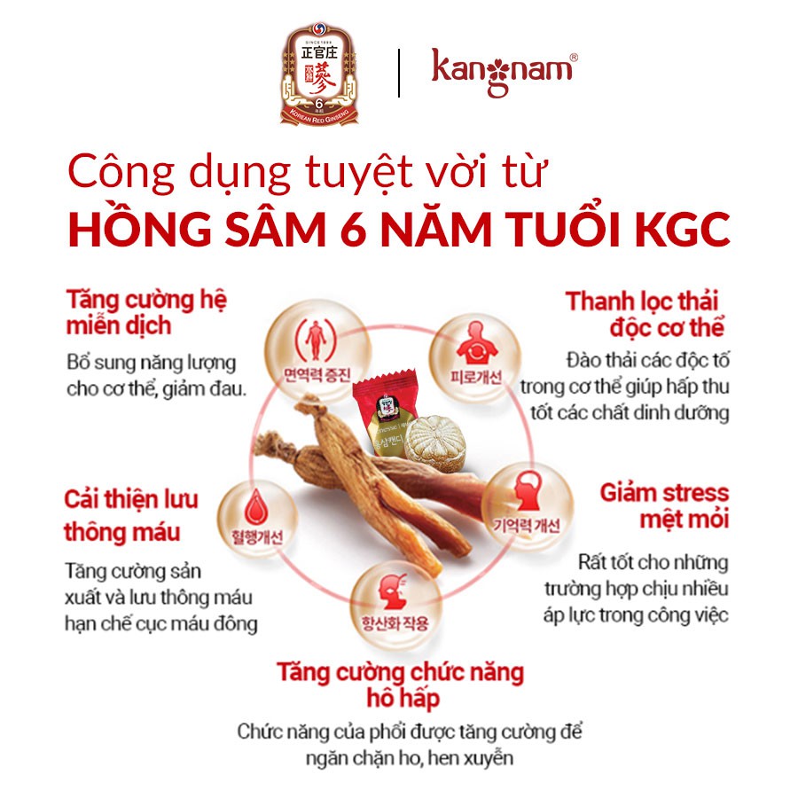 Kẹo Hồng Sâm Có Đường KGC Cheong Kwan Chang Renesse 240G