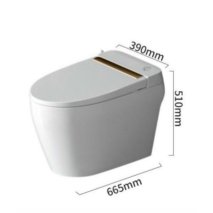 Bồn cầu không két nước Cherry có nắp rửa Bidet